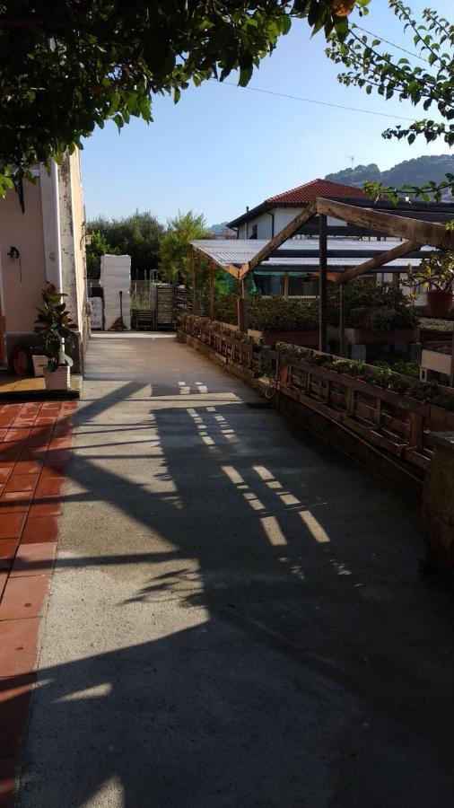 Vila Ca' Federica Vallecrosia Exteriér fotografie